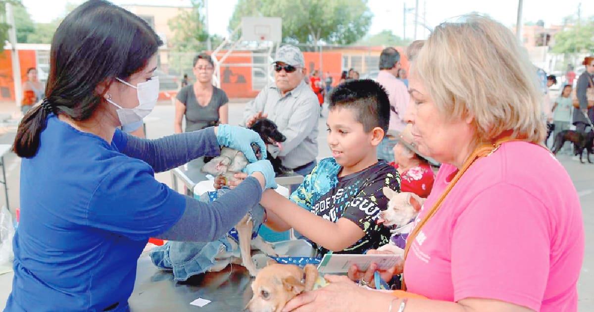 Brinda Sonora 33 mil servicios a mascotas