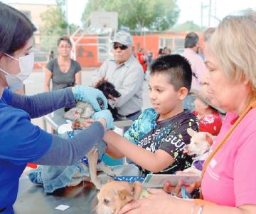 Brinda Sonora 33 mil servicios a mascotas