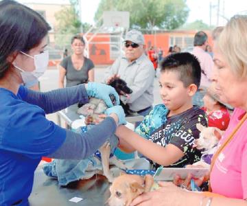 Realiza Impba más de 6 mil castraciones de perros y gatos en Hermosillo