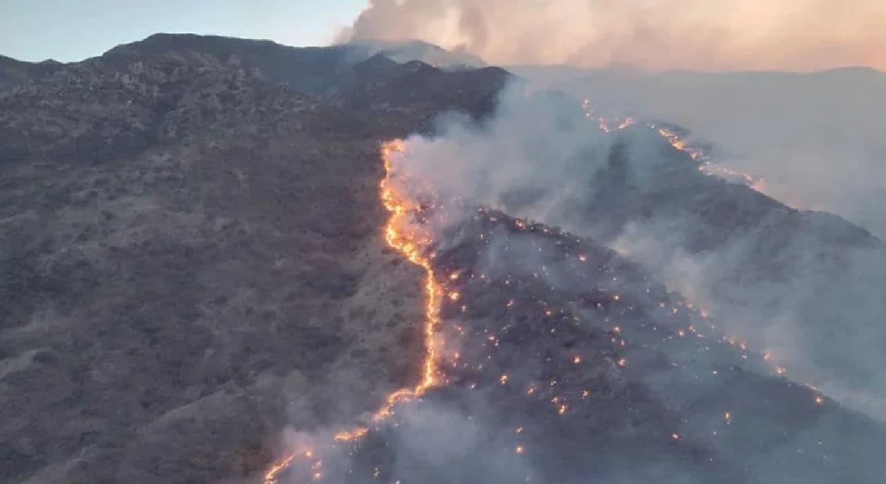Incendio en Ímuris consume rancherías, flora y fauna a su paso