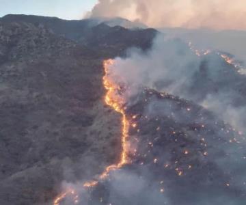 Incendio en Ímuris consume rancherías, flora y fauna a su paso