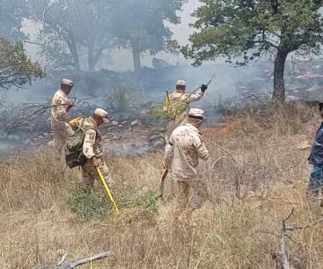 Continúan acciones para sofocar incendios forestales en Sonora