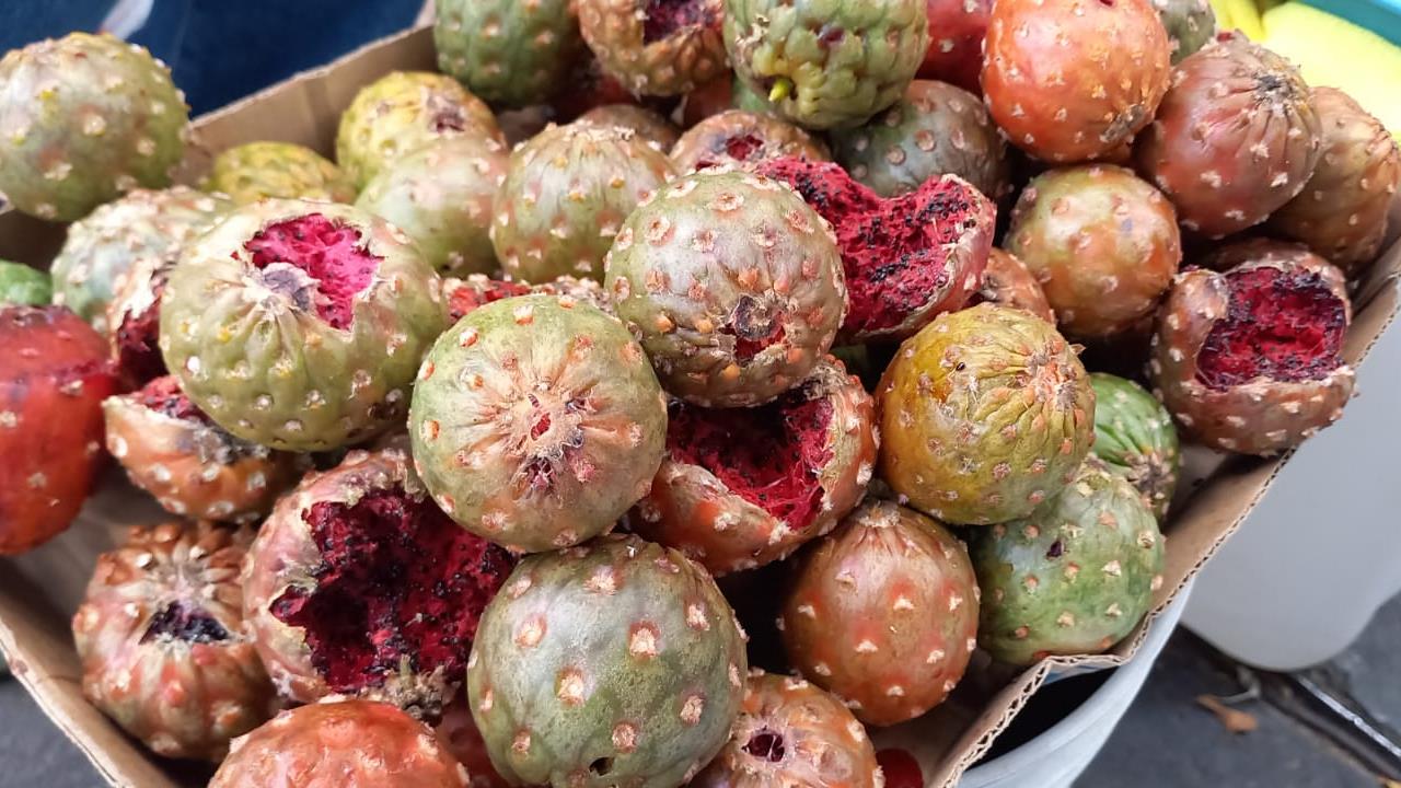 Periodo de graduaciones afecta la venta de pitaya en Hermosillo