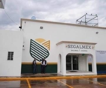 Suman 100 denuncias por fraude en Segalmex