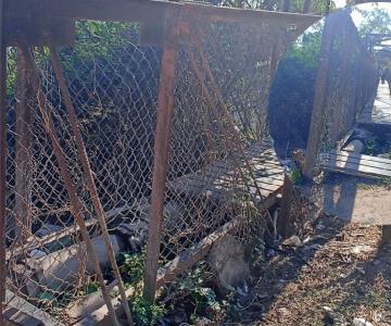 Puente en mal estado pone en riesgo la vida de navojoenses