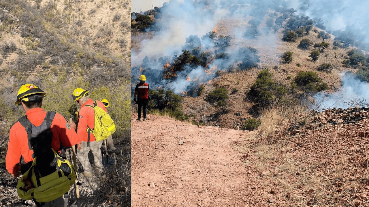 Extinguen incendio forestal en El Trodillo, Moctezuma