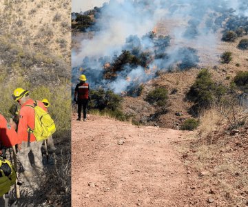 Extinguen incendio forestal en El Trodillo, Moctezuma