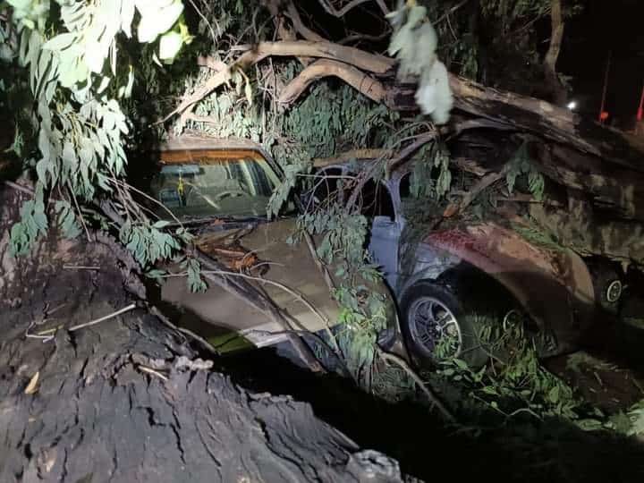 Los estragos que causó la tormenta en Guaymas este jueves