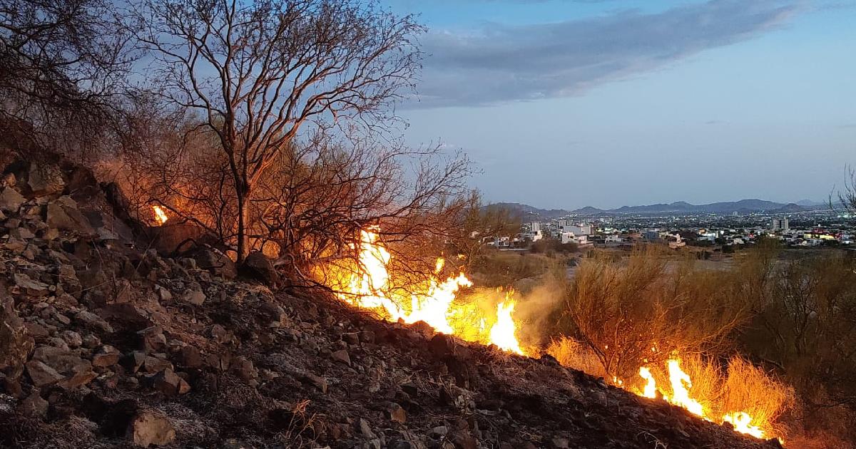 Bomberos de Hermosillo sofocaron incendio en el Cerro del Bachoco
