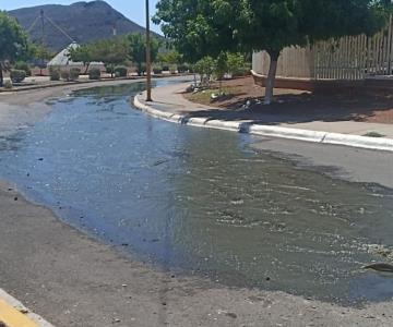 Derrames de aguas negras afectan salud de alumnos en escuelas de Guaymas