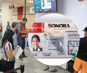 Requisitos y costos para las diferentes licencias de conducir en Sonora