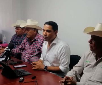 Productores del sur de Sonora discutirán estrategias para cultivos en foro