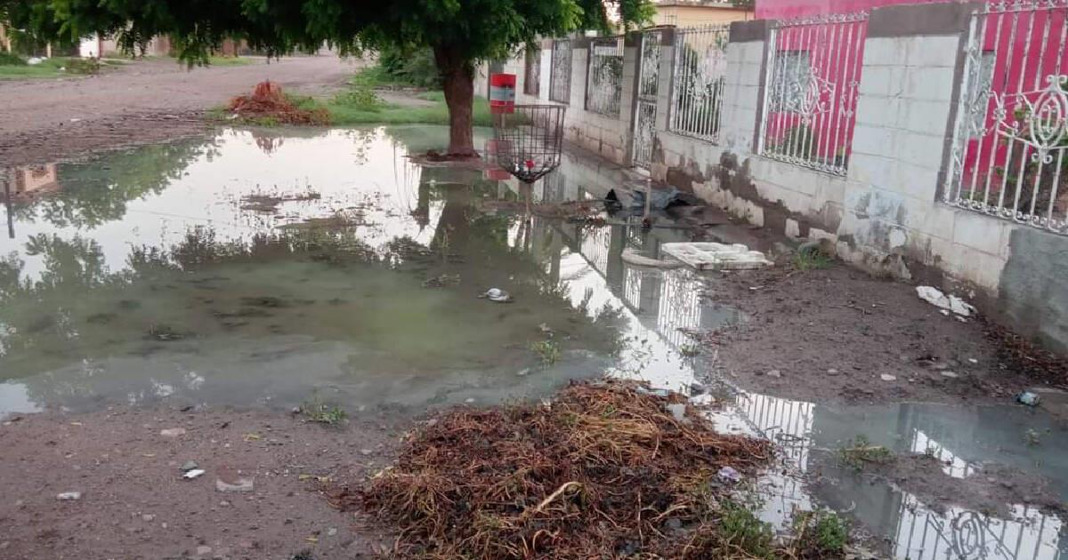 Vecinos de San Ignacio Cohuirimpo viven entre brotes de aguas negras