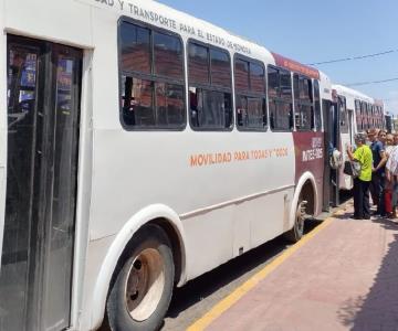 Transporte urbano tendrá un desafiante regreso a clases en Navojoa