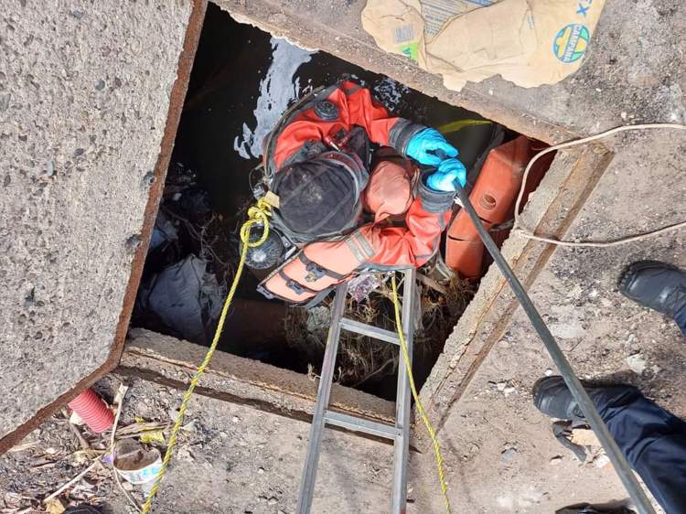 Bomberos rescatan  a cachorro dentro del canal del Dren de Navojoa
