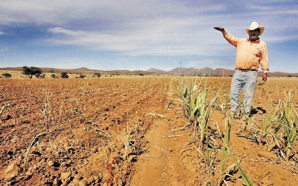 Restringirán agua para el ciclo agrícola otoño-invierno en el Valle del Mayo