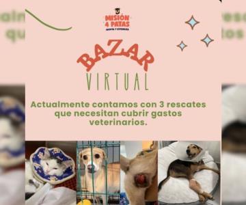 Misión 4 Patas recauda fondos para perros rescatados con bazar virtual