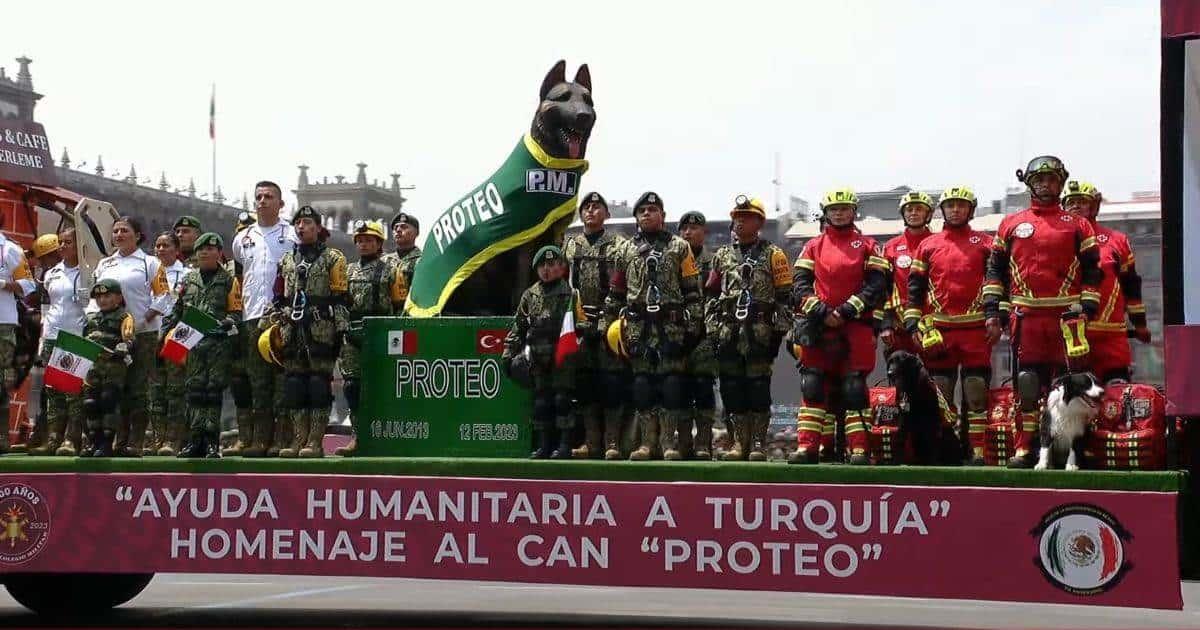 Rinden homenaje a Proteo, el perro rescatista, durante desfile en CDMX