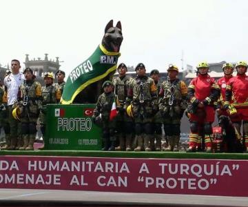Rinden homenaje a Proteo, el perro rescatista, durante desfile en CDMX
