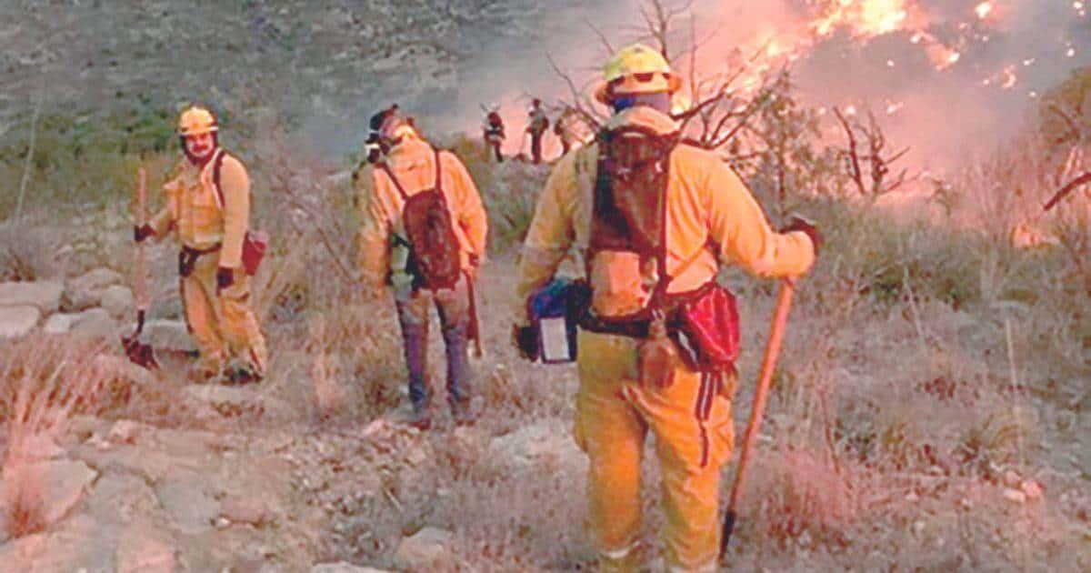 Incendios consumen 57 mil hectáreas en la entidad: CEPC
