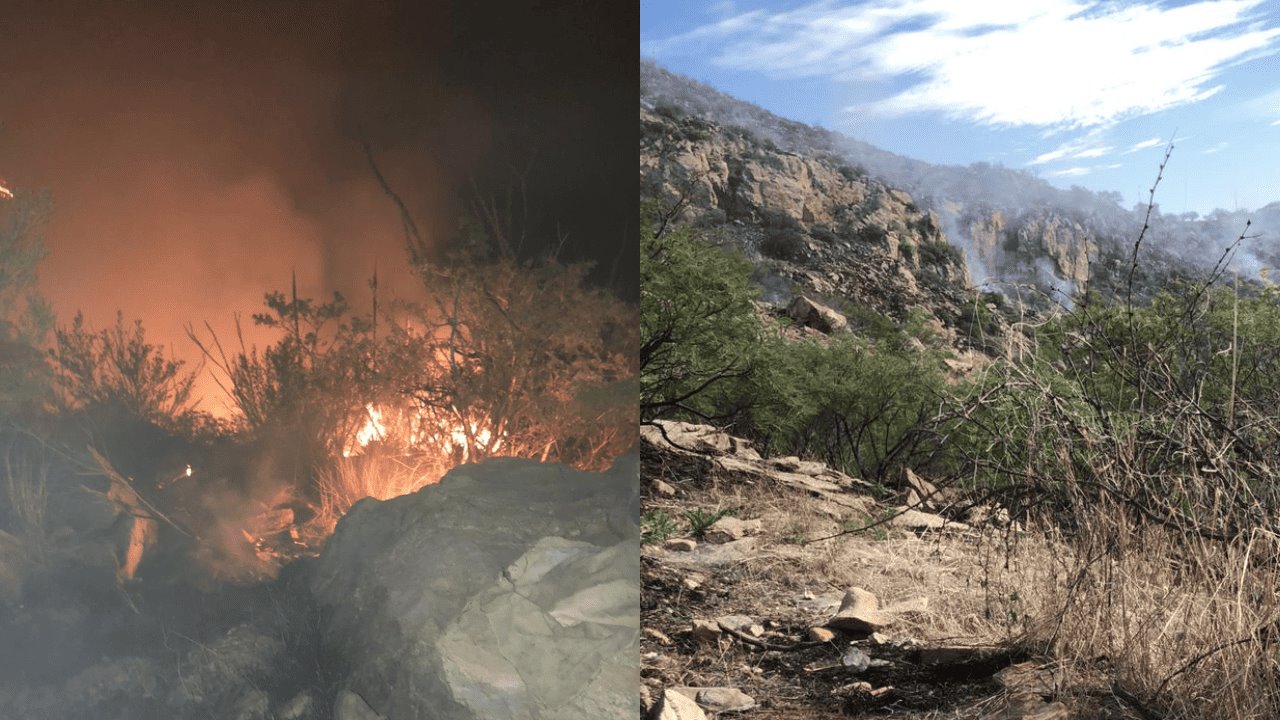 Incendios forestales en la sierra de Sonora consumen más de mil hectáreas