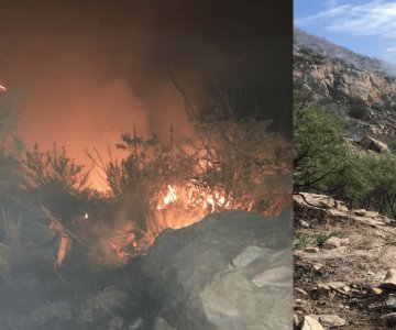Incendios forestales en la sierra de Sonora consumen más de mil hectáreas