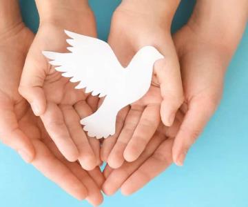 La importancia del Día Internacional de la Paz