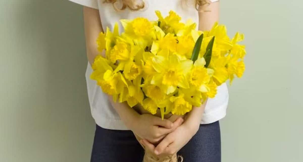 ¿Por qué se regalan flores amarillas este 21 de septiembre?