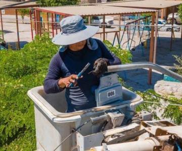 Robo de cableado eléctrico afecta a colonias de Guaymas