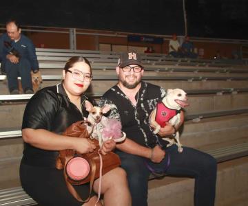 Día del perro en el estadio Fernando Valenzuela