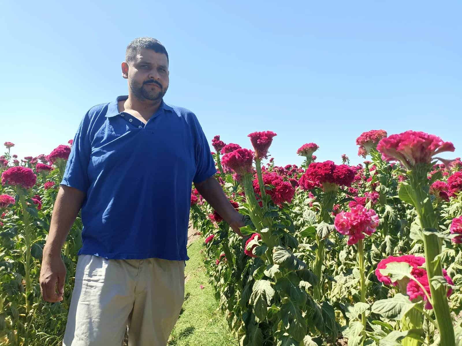 Mano pantera, una tradición familiar del Día de Muertos en Navojoa