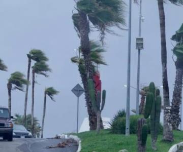 Más de 109 mil usuarios se quedan sin luz por huracán Norma