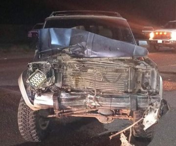 Accidente en tramo Navojoa-Huatabampo deja una vaca sin vida