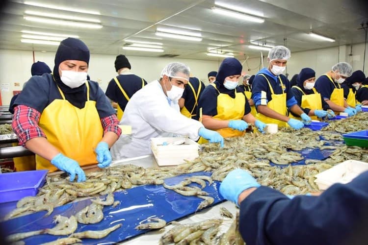 Sonora, pionero en sanidad e inocuidad acuícola y pesquera: Raúl Sánchez