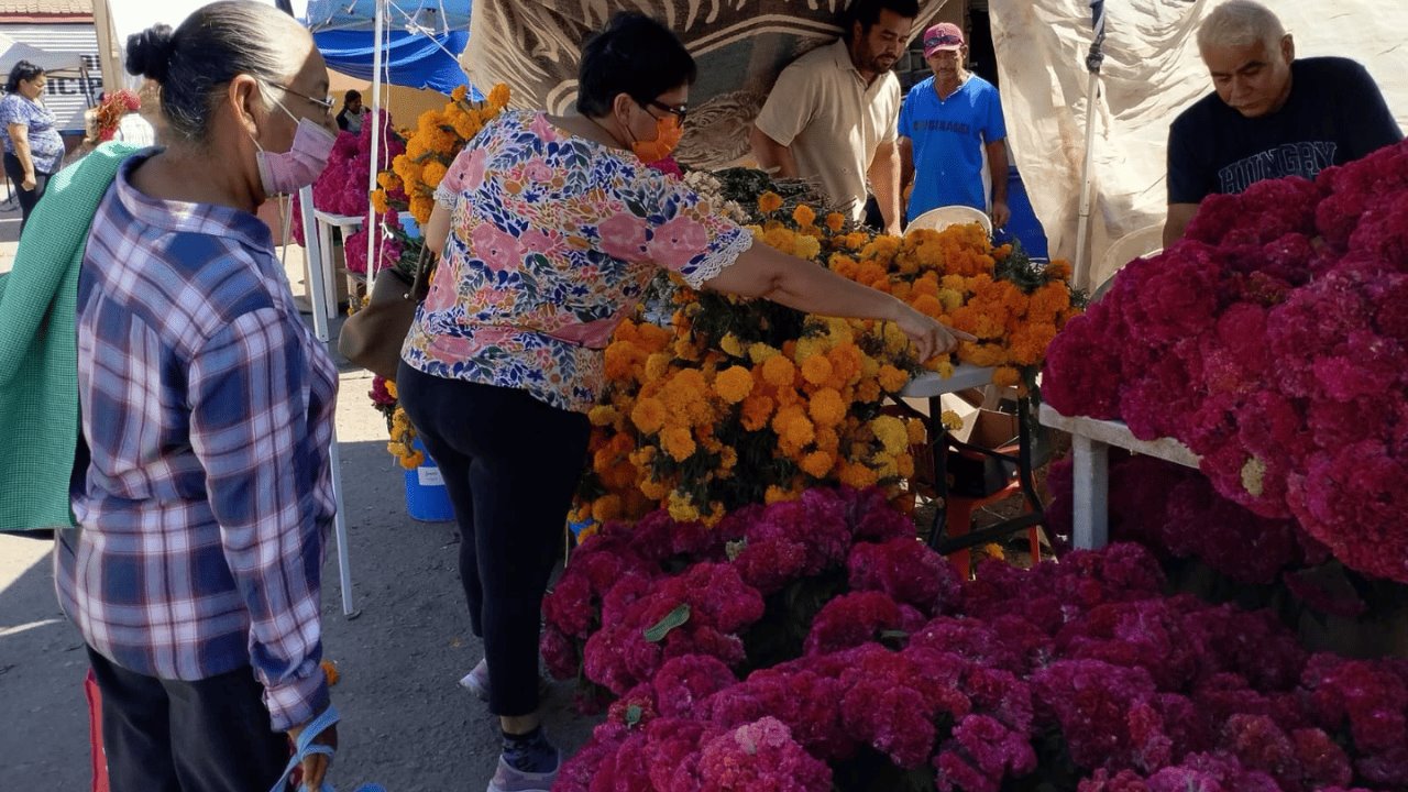 Comienza con buen ritmo venta de flores en el Mercado Municipal de Navojoa