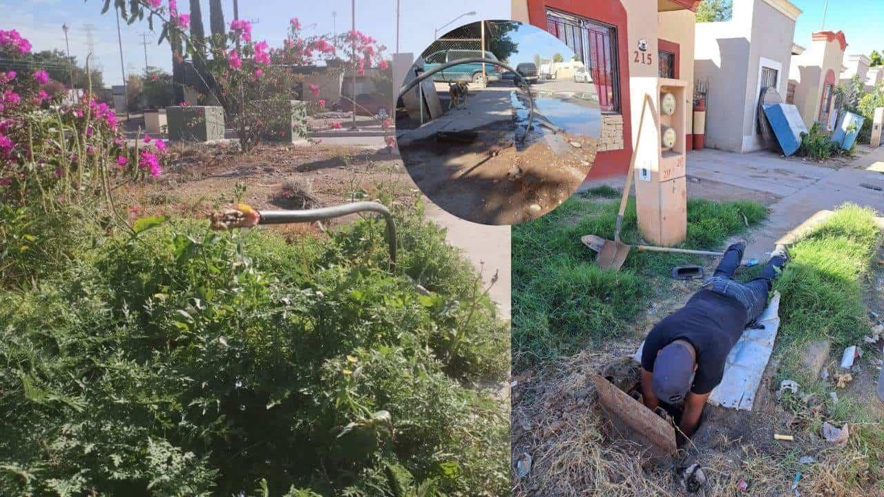 Por falta de agua aumenta número de tomas clandestinas en Navojoa