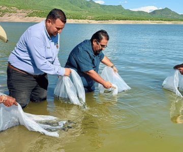 Destacan apoyos de Subsecretaría de Pesca y Acuacultura en El Novillo