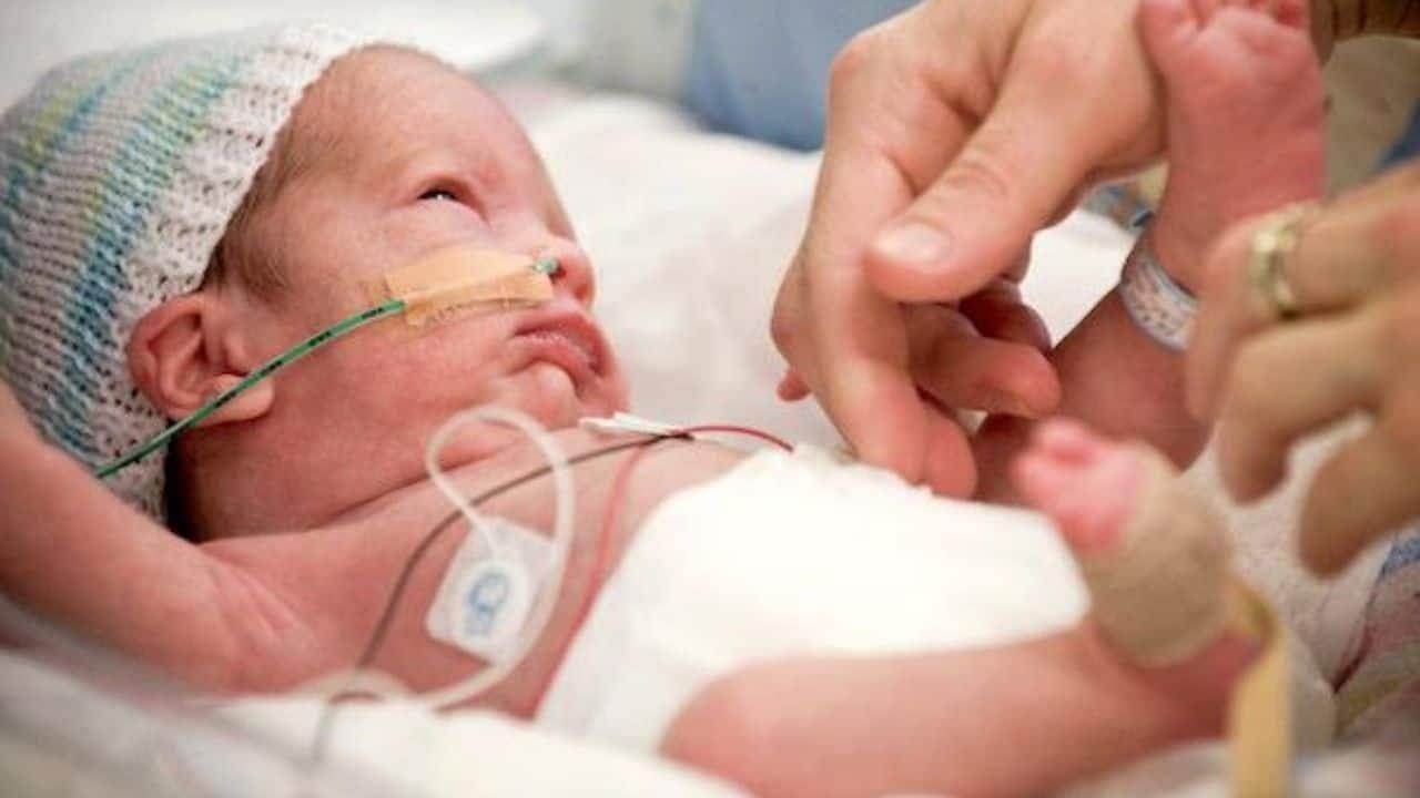 IMSS Promueve la Toma de Ácido Fólico Durante Embarazo para Prevenir  Defectos Neurológicos en Bebés