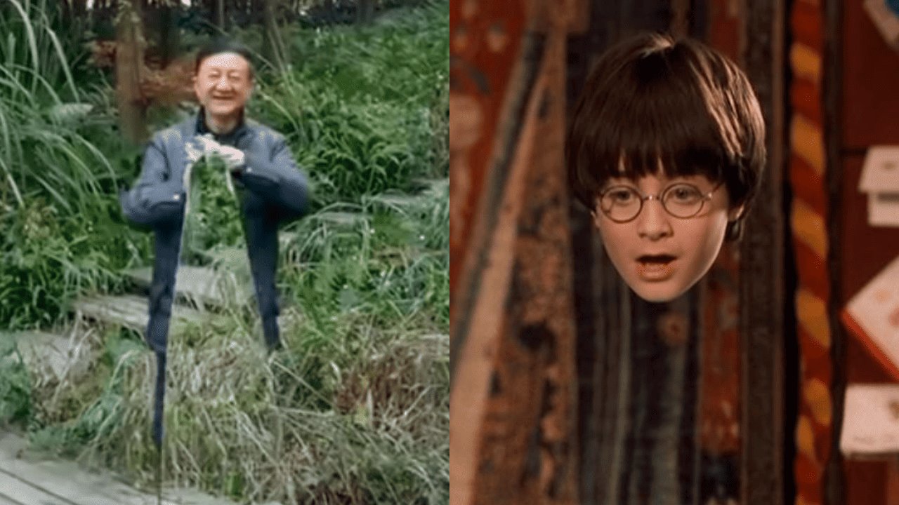 Al estilo Harry Potter, científico chino presenta capa invisible