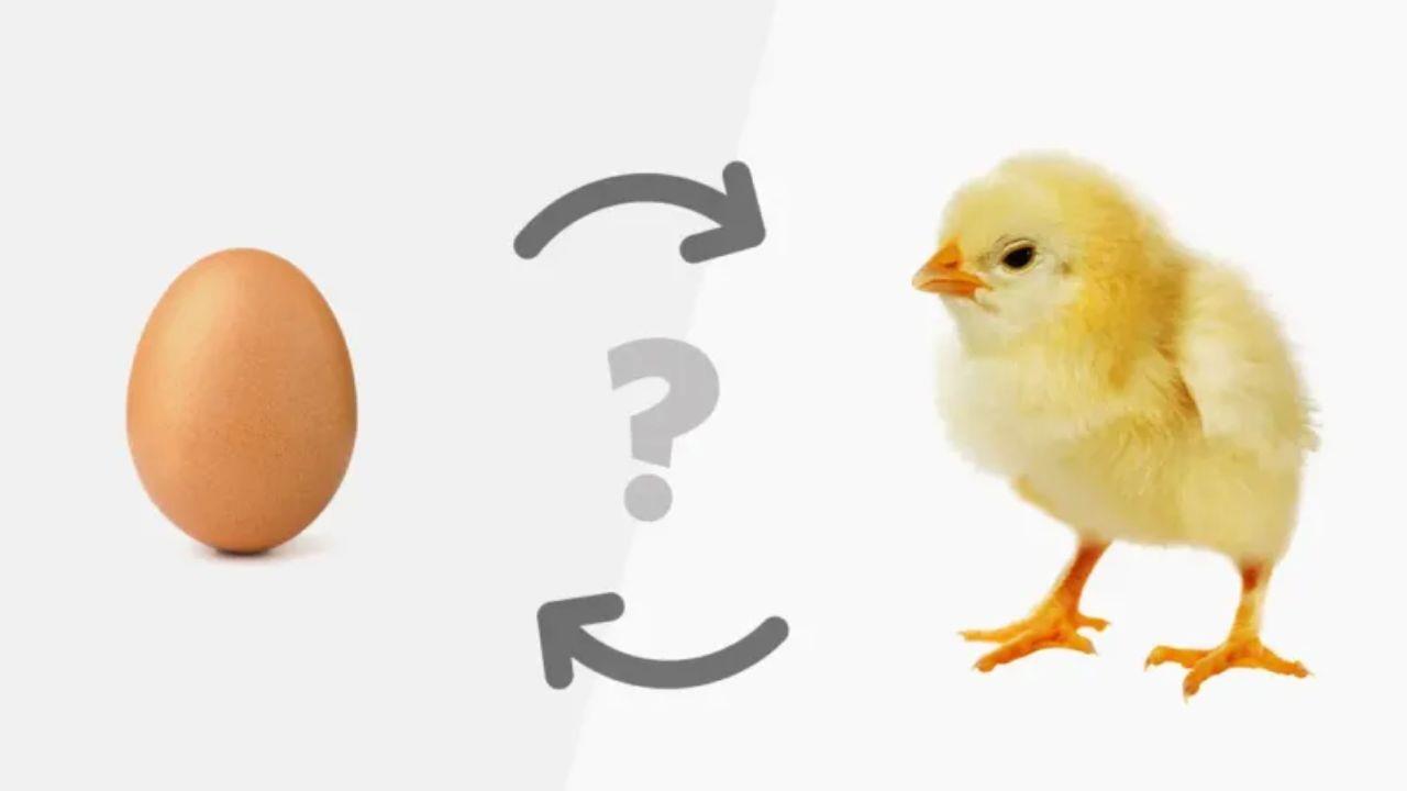 La UNAM resuelve el misterio de ¿Qué fue primero el huevo o la gallina?