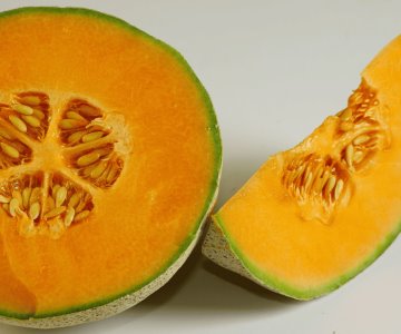 Autoridades descartan presencia de salmonella en melón de Sonora
