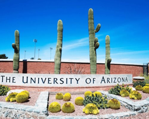 Aumentan seguridad en Universidad de Arizona tras intentos de secuestros