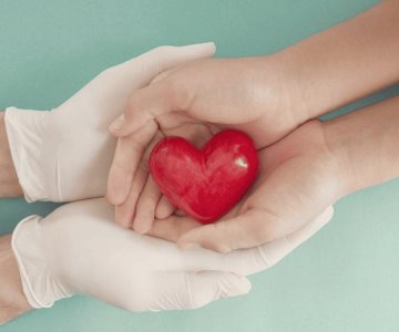 Jóvenes encabezan donación voluntaria de órganos en Sonora