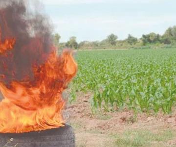Divide opiniones quema de neumáticos para proteger cultivos en el Mayo
