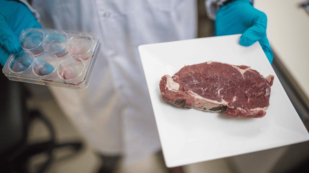 Israel es el primer país en autorizar venta de carne cultivada en laboratorio