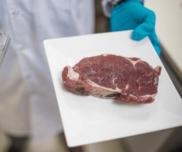 Israel es el primer país en autorizar venta de carne cultivada en laboratorio