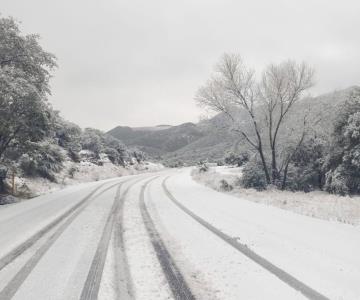 Cierran carretera Ímuris-Cananea por caída de nieve
