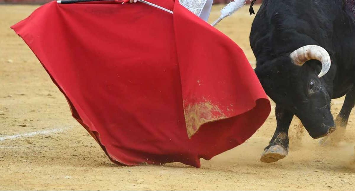 Sonorenses dicen no a corridas de toros; aplauden prohibición