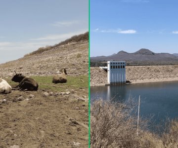 Cambian la ganadería por la pesca ante sequía en el Valle del Yaqui