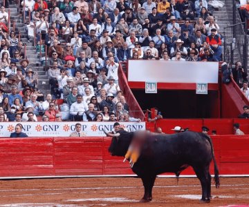 Tribunal revoca suspensión provisional a corridas de toros en Plaza México